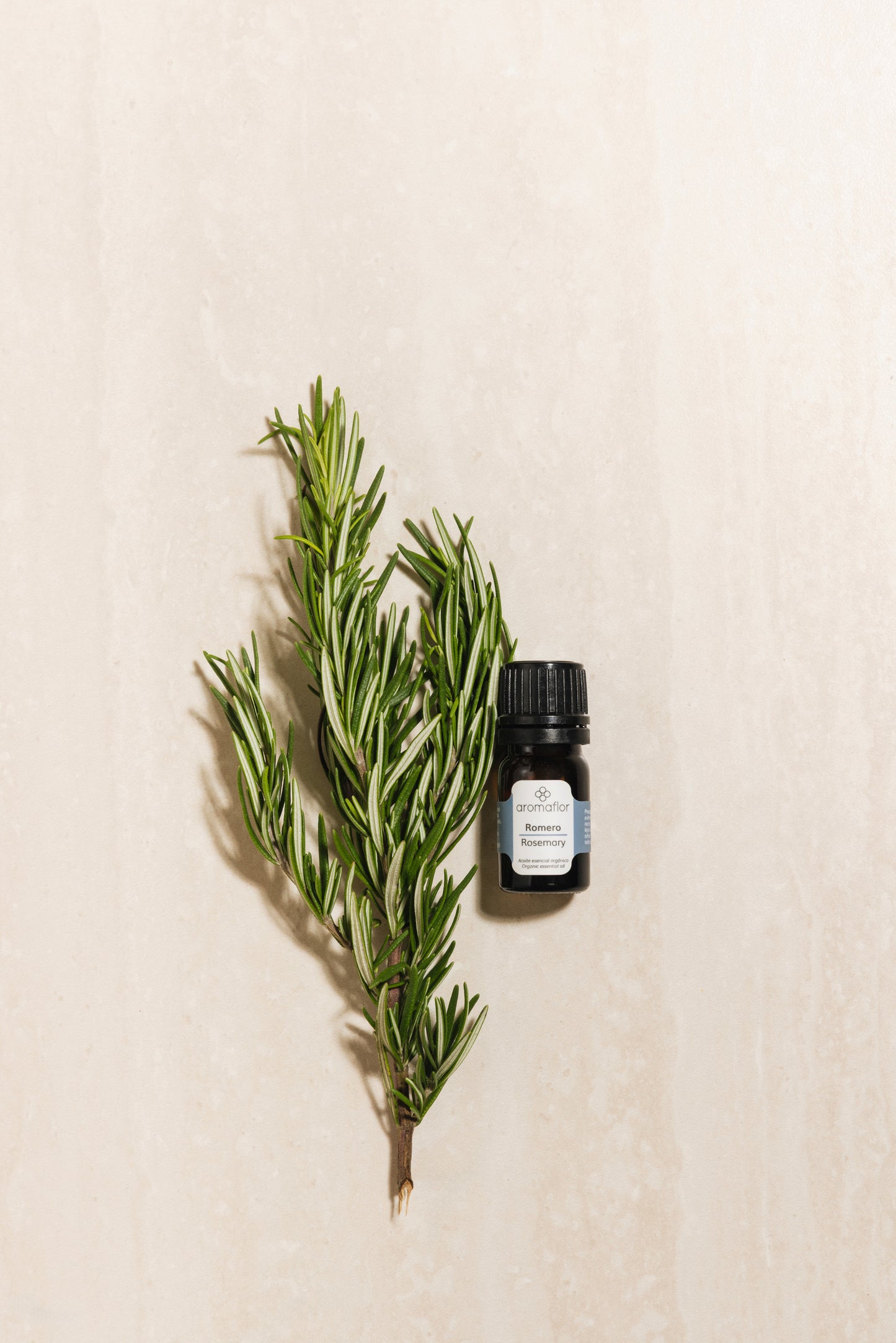Rosemary